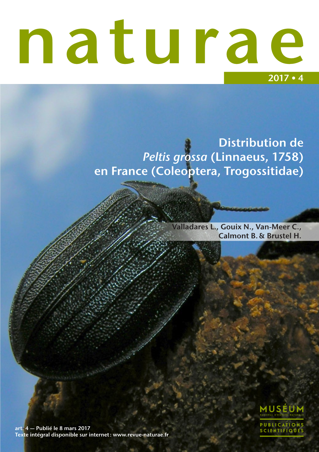 Distribution De Peltis Grossa (Linnaeus, 1758) En France (Coleoptera, Trogossitidae)