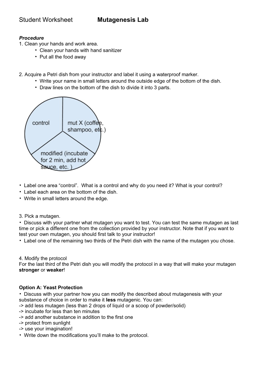 Student Worksheet Mutagenesis Lab