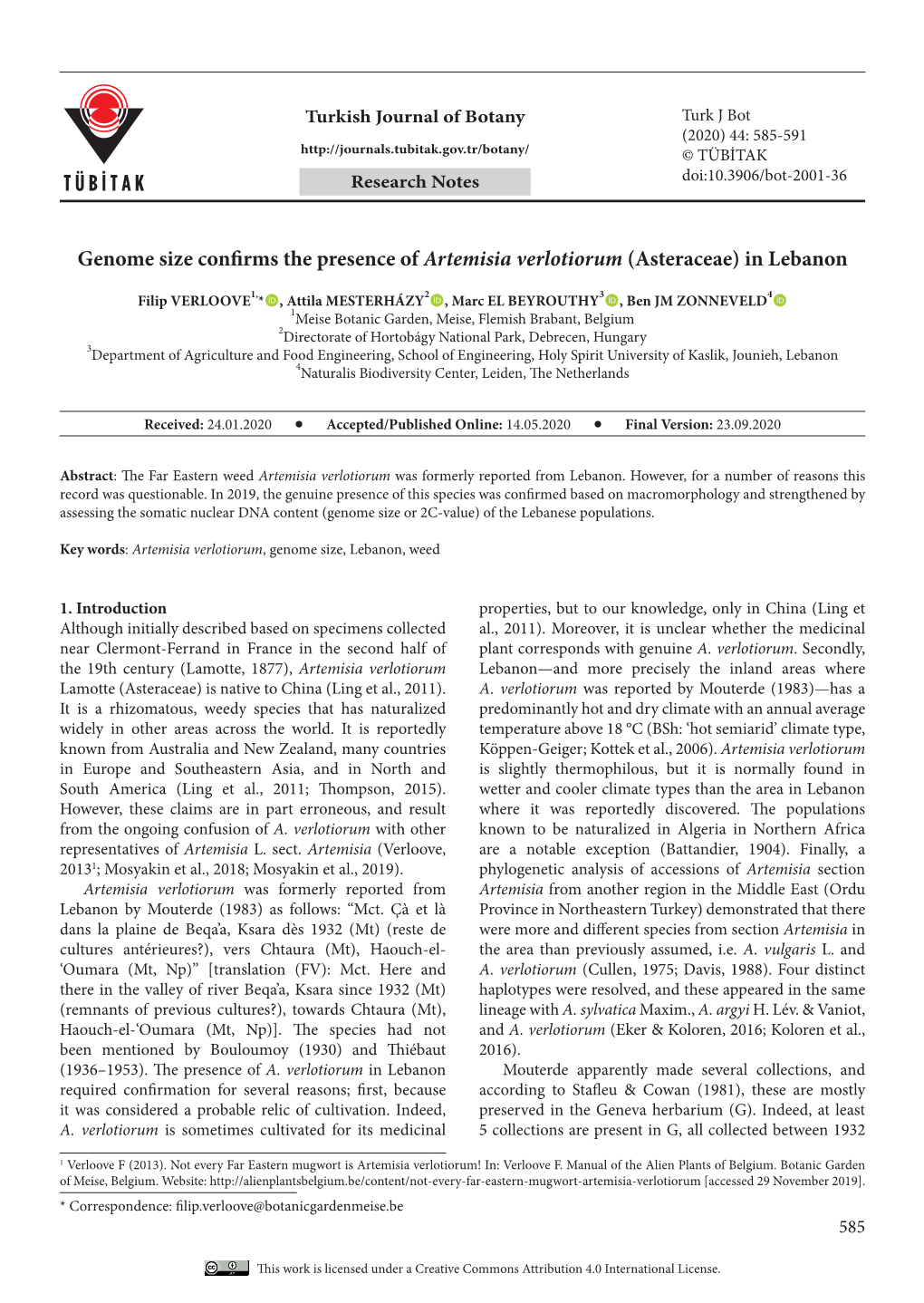 Genome Size Confirms the Presence of Artemisia Verlotiorum (Asteraceae