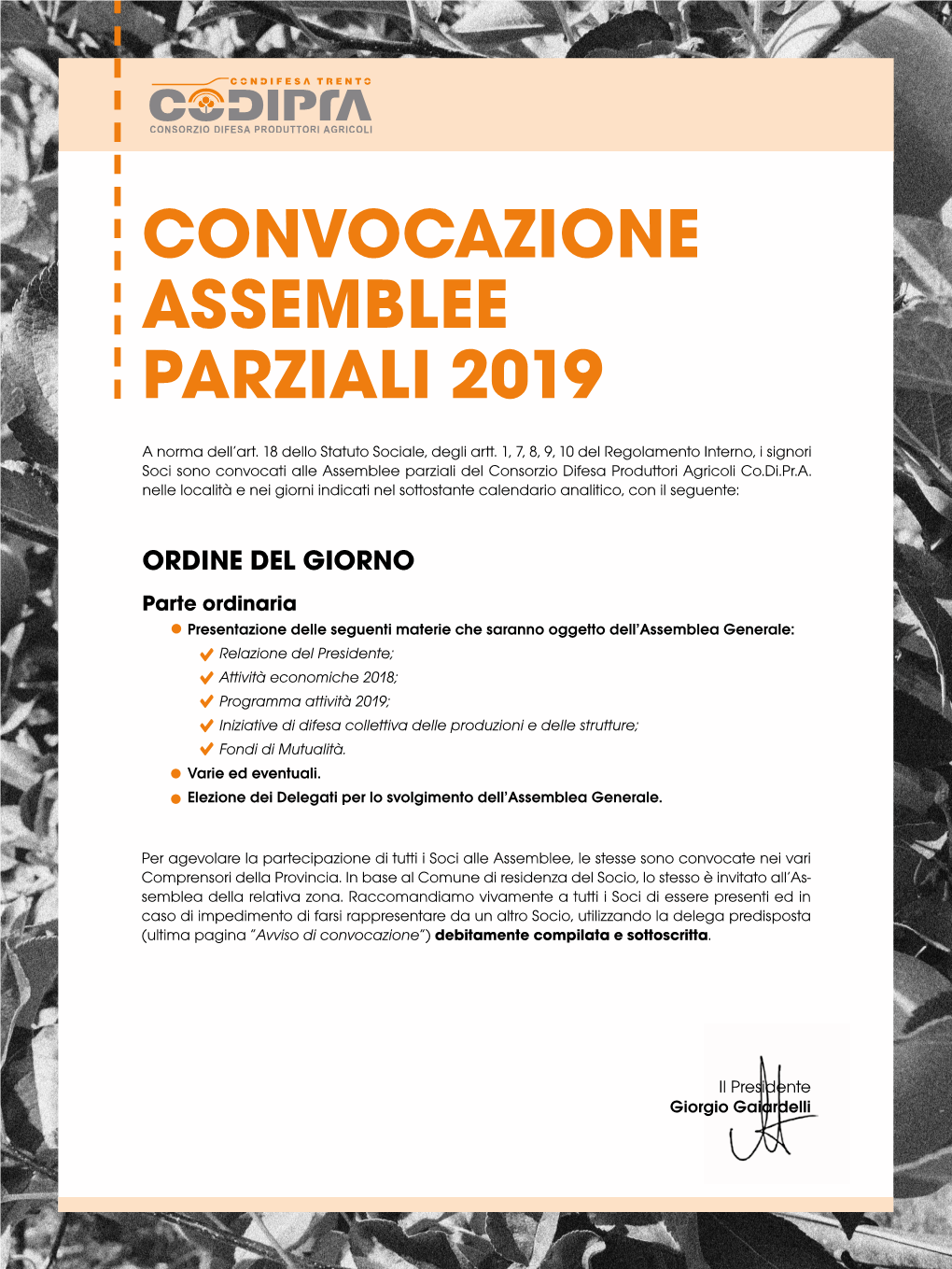 Convocazione Assemblee Parziali 2019