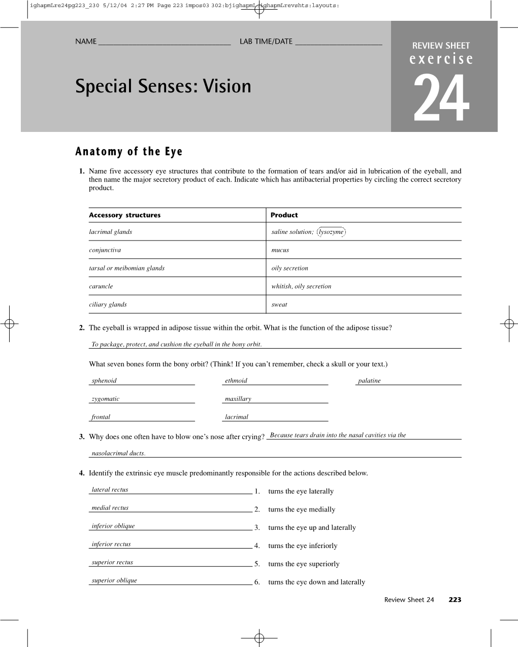 Vision 24 Anatomy of the Eye