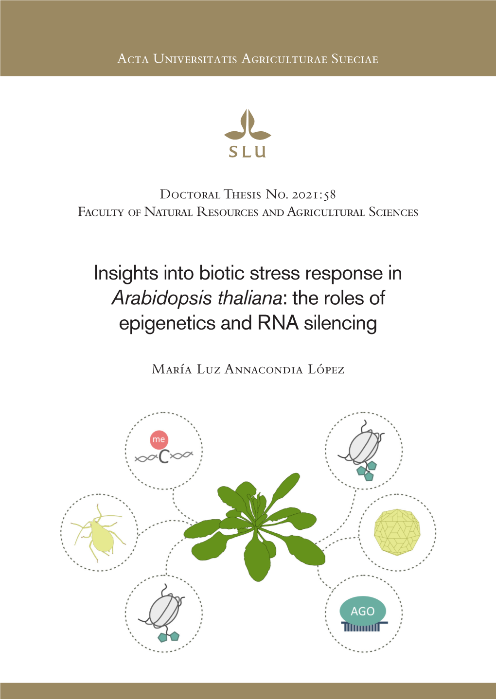 Insights Into Biotic Stress Response in Arabidopsis Thaliana: the Roles of Epigenetics and RNA Silencing