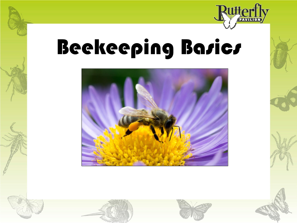 Beekeeping Basics My Background • Master’S Degree in Entomology from Penn State – Bumble Bee Reproduction