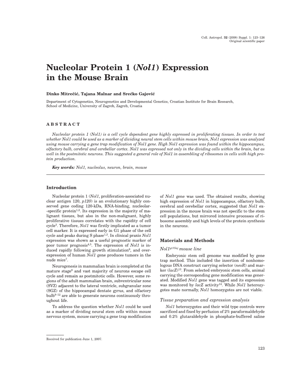 Nucleolar Protein 1 (Nol1) Expression in the Mouse Brain