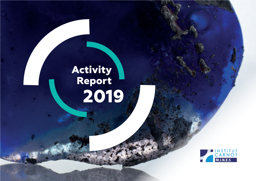 Activity Report 2019 Activity Report 2019 - INSTITUT CARNOT M.I.N.E.S Editorial