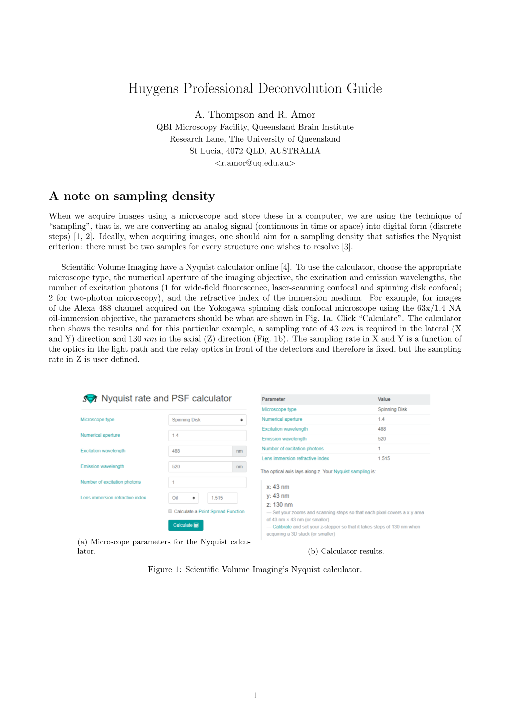 Huygens Professional Deconvolution Guide