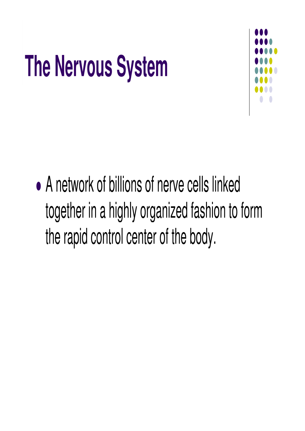 The Nervous System