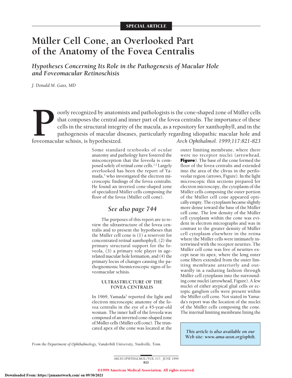 Müller Cell Cone, an Overlooked Part of the Anatomy of the Fovea