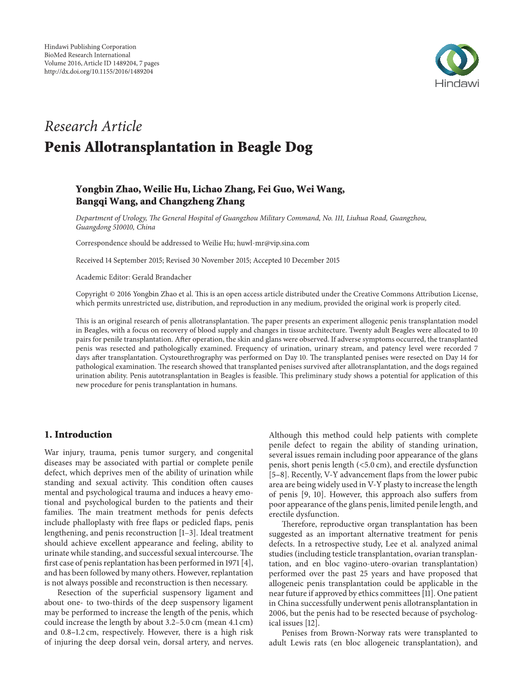 Penis Allotransplantation in Beagle Dog