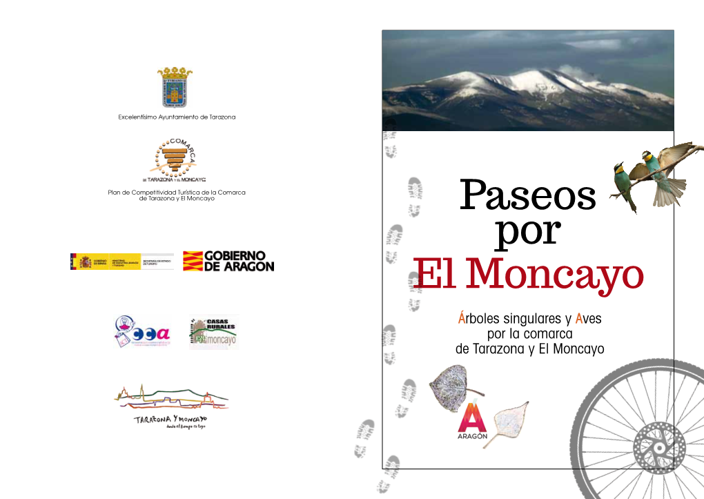 Paseos Por El Moncayo