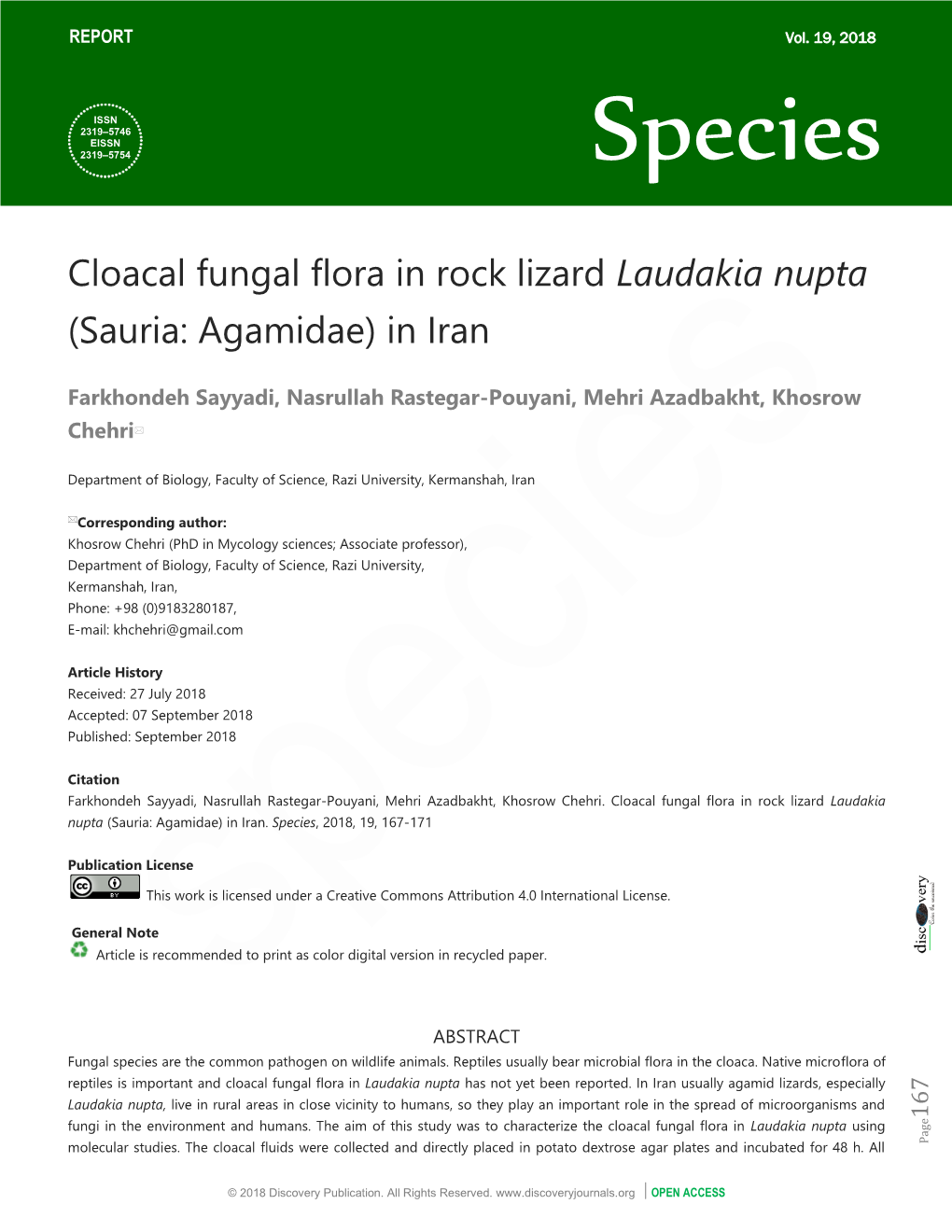 Cloacal Fungal Flora in Rock Lizard Laudakia Nupta (Sauria: Agamidae) in Iran