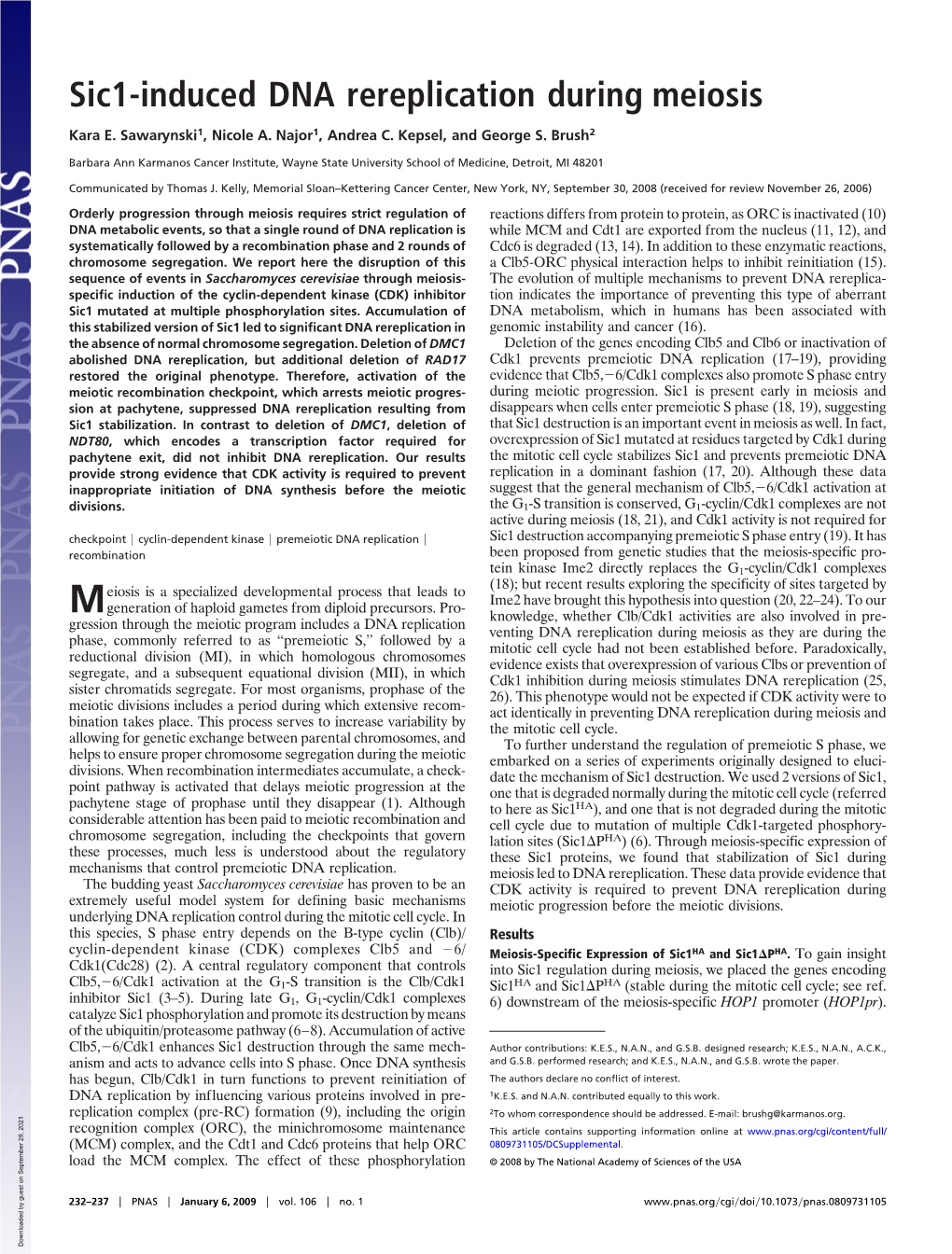 Sic1-Induced DNA Rereplication During Meiosis