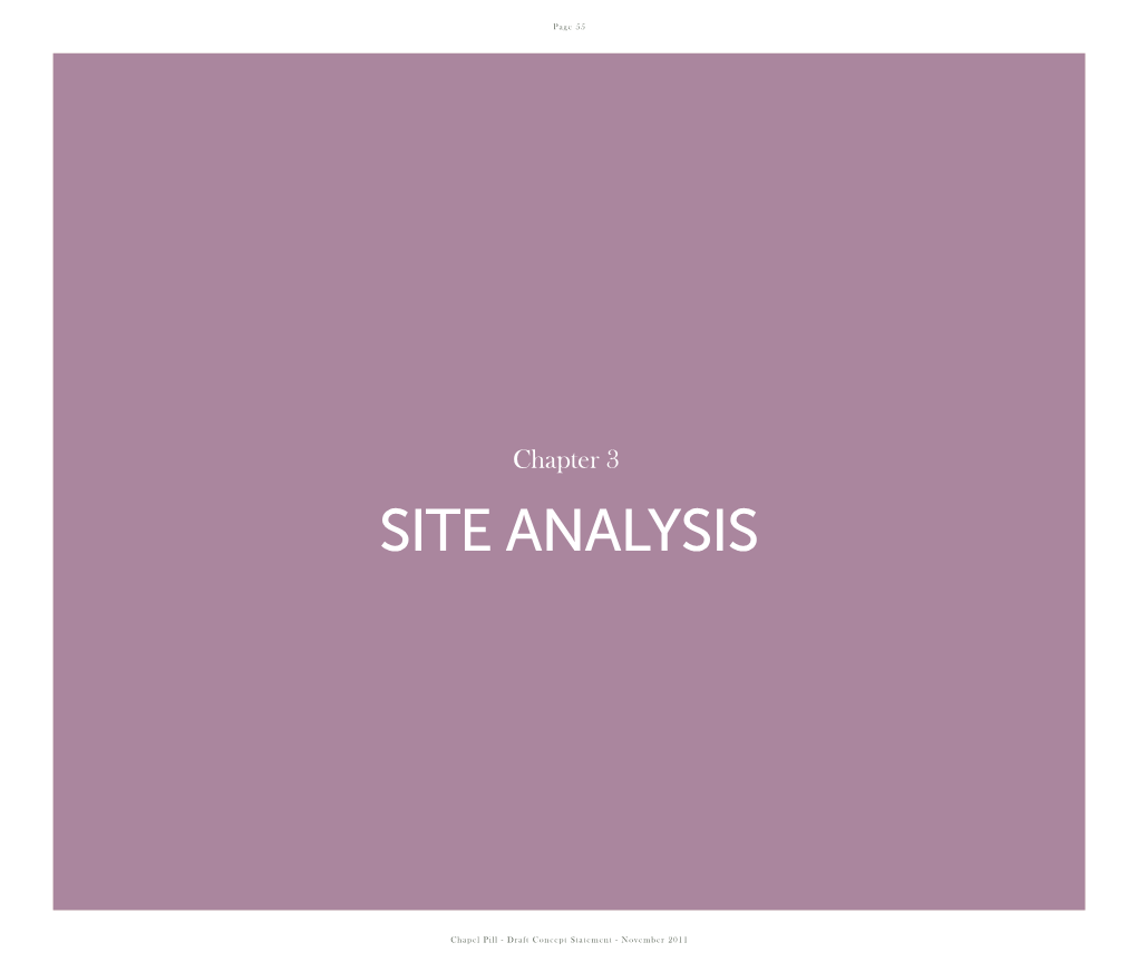 Site Analysis