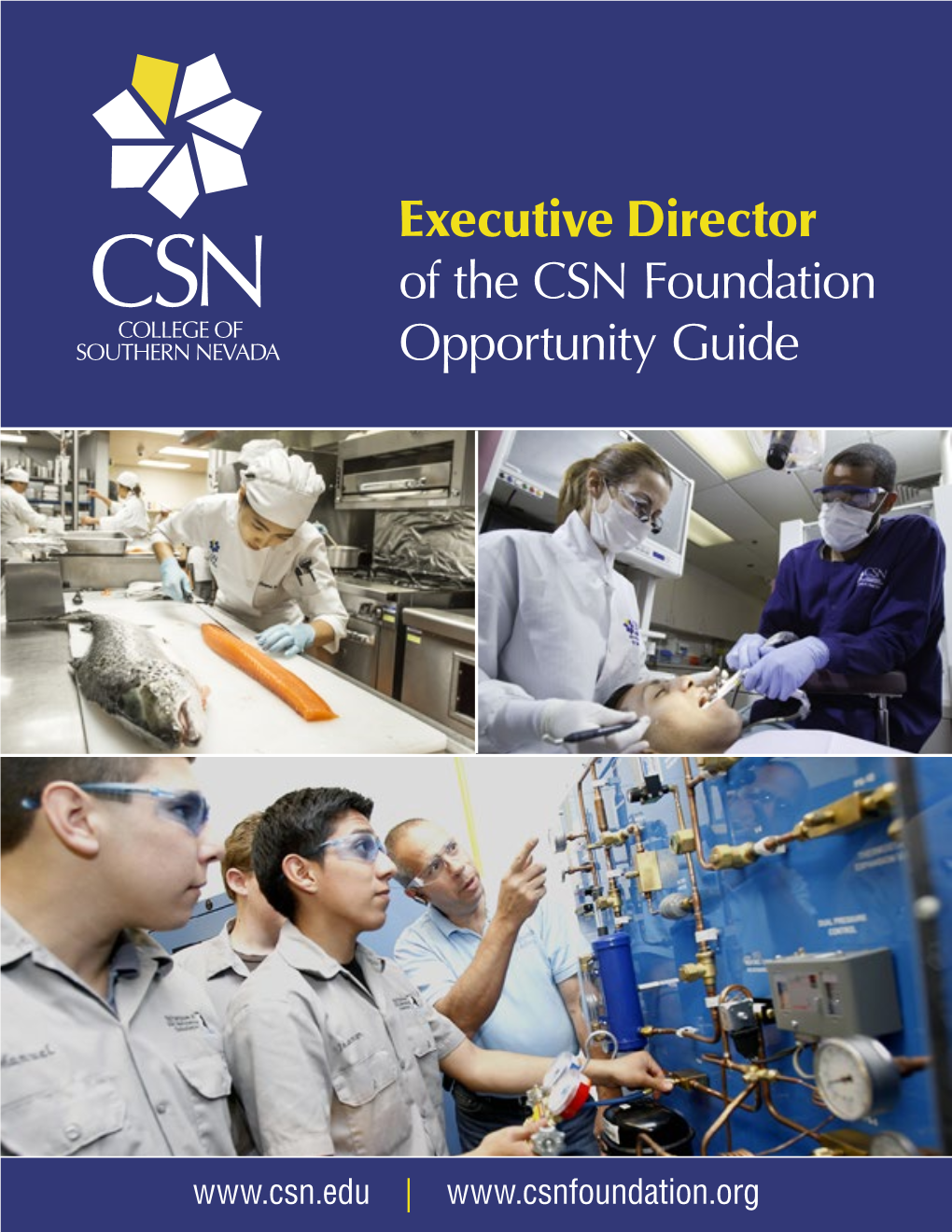 Executive Director of the CSN Foundation Opportunity Guide