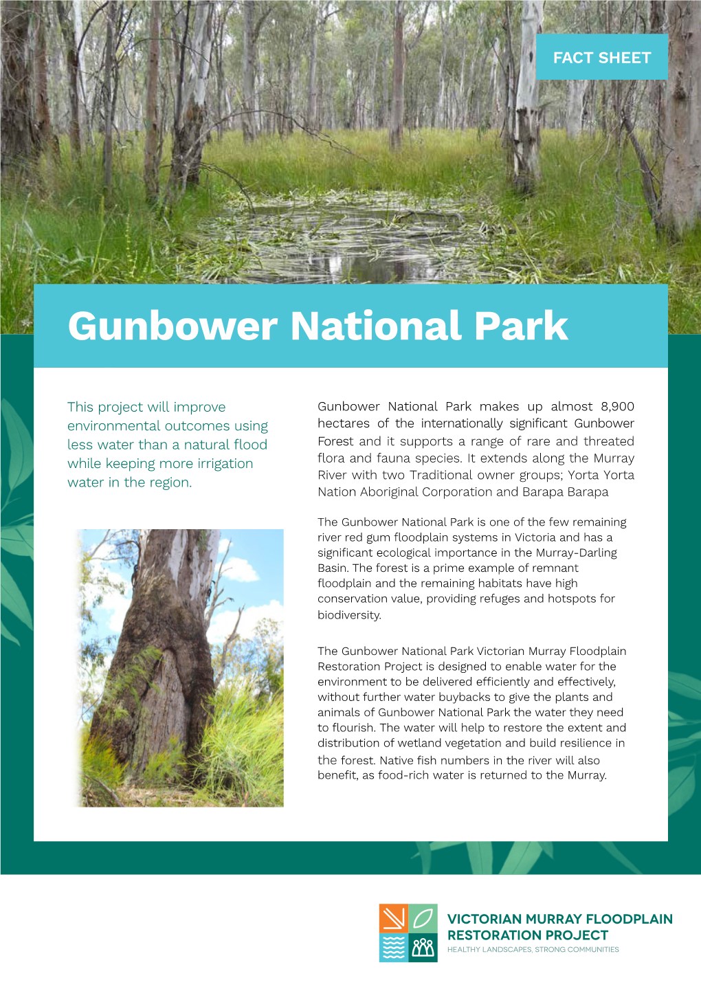 Gunbower National Park