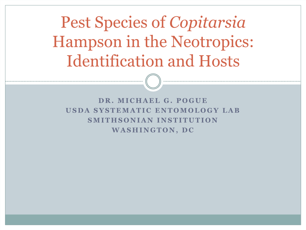 Pest Species of Copitarsia Hampson in the Neotropics: Identification and Hosts