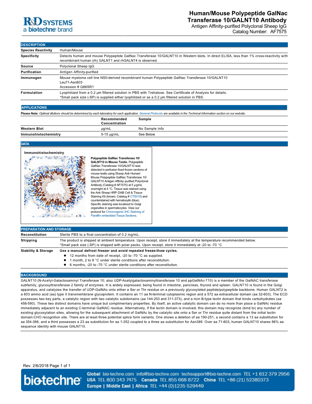 Human/Mouse Polypeptide Galnac Transferase 10/GALNT10 Antibody Antigen Affinity-Purified Polyclonal Sheep Igg Catalog Number: AF7575