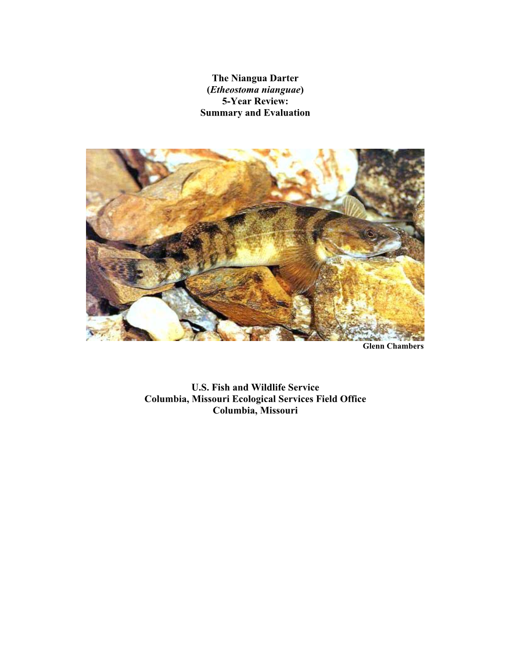 The Niangua Darter (Etheostoma Nianguae) 5-Year Review: Summary and Evaluation