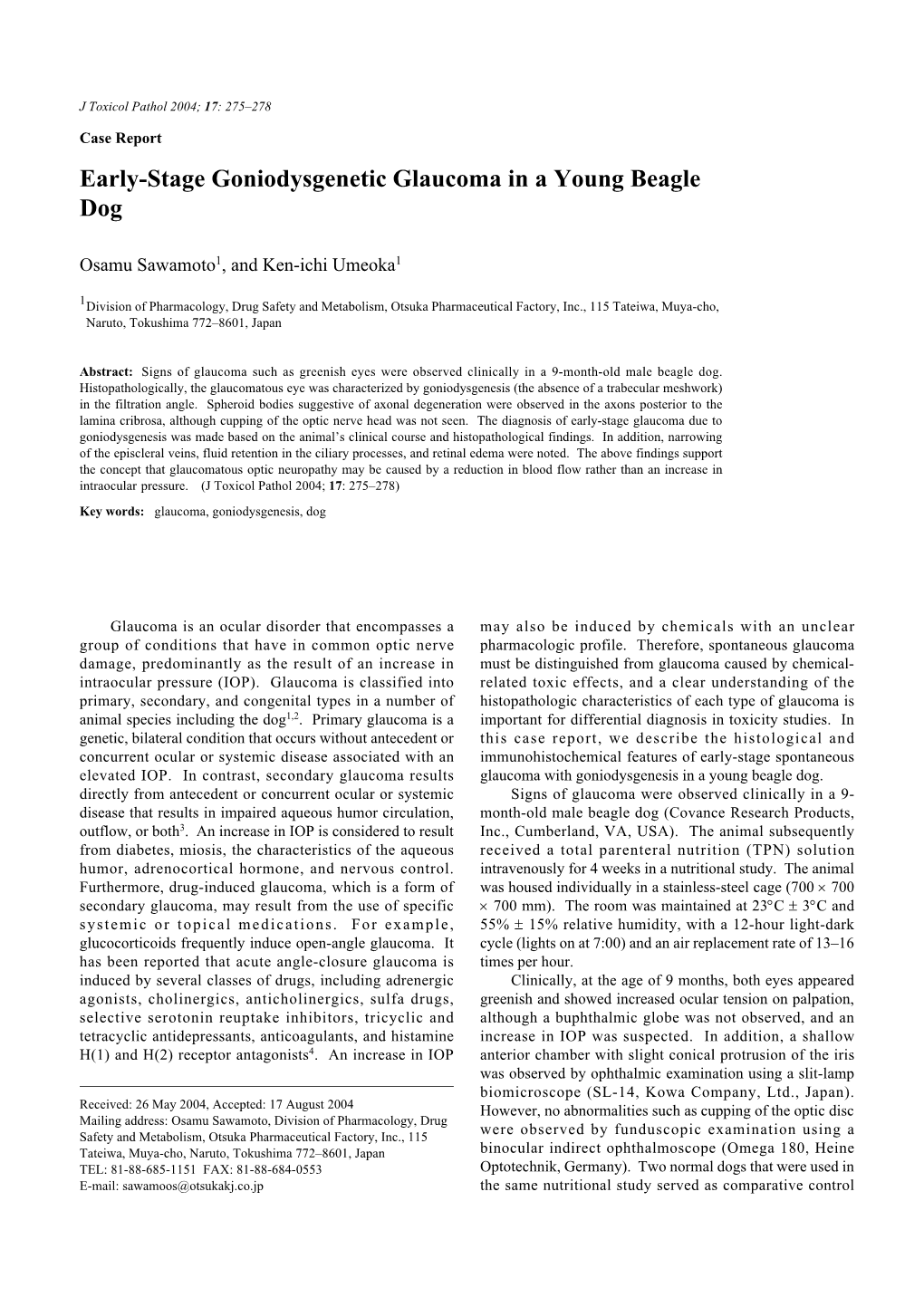Early-Stage Goniodysgenetic Glaucoma in a Young Beagle Dog