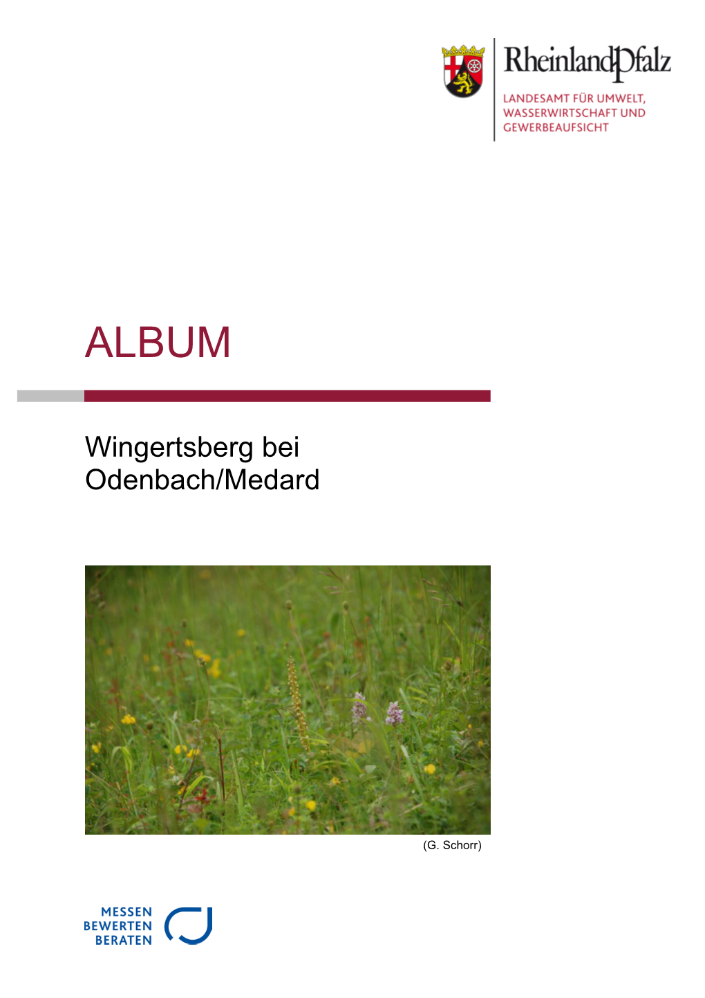 Wingertsberg Bei Odenbach/Medard