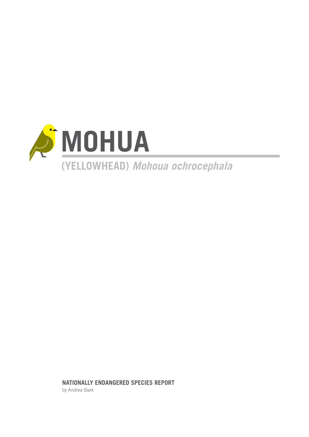 (Yellowhead) Mohoua Ochrocephala