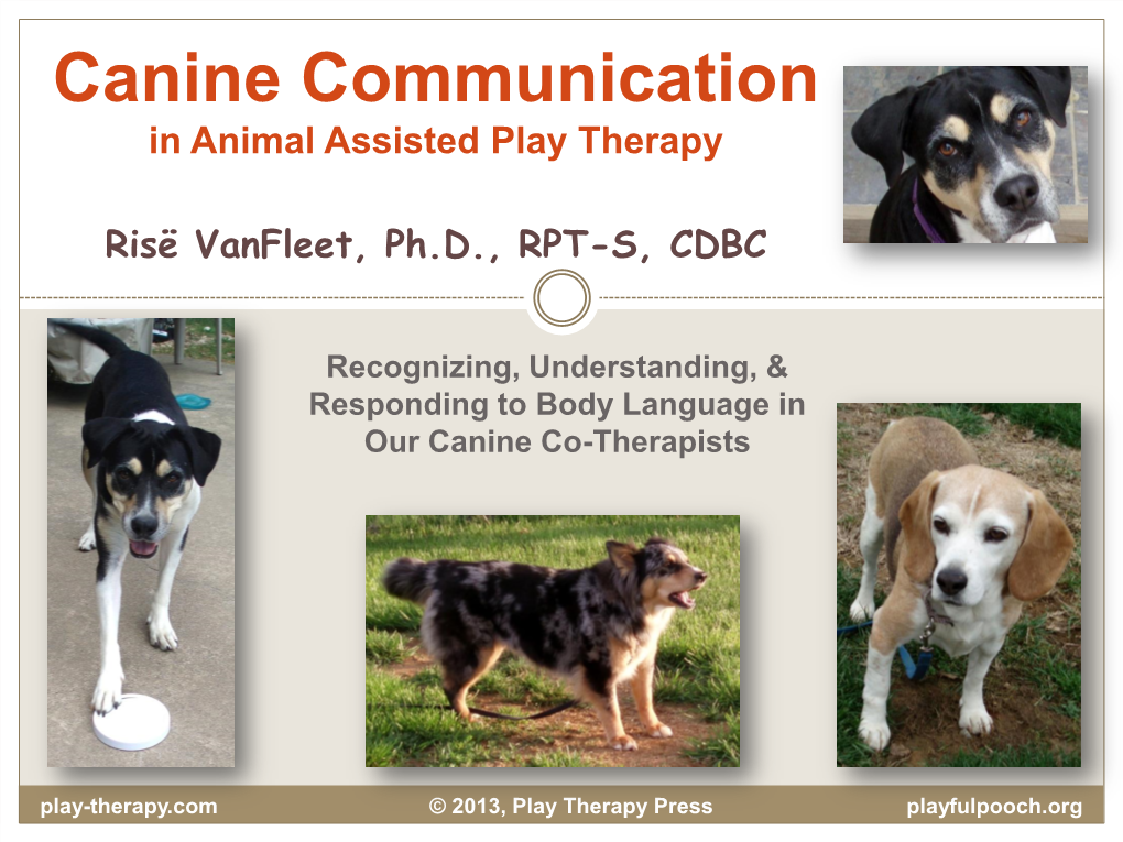 Canine Communication in Animal Assisted Play Therapy