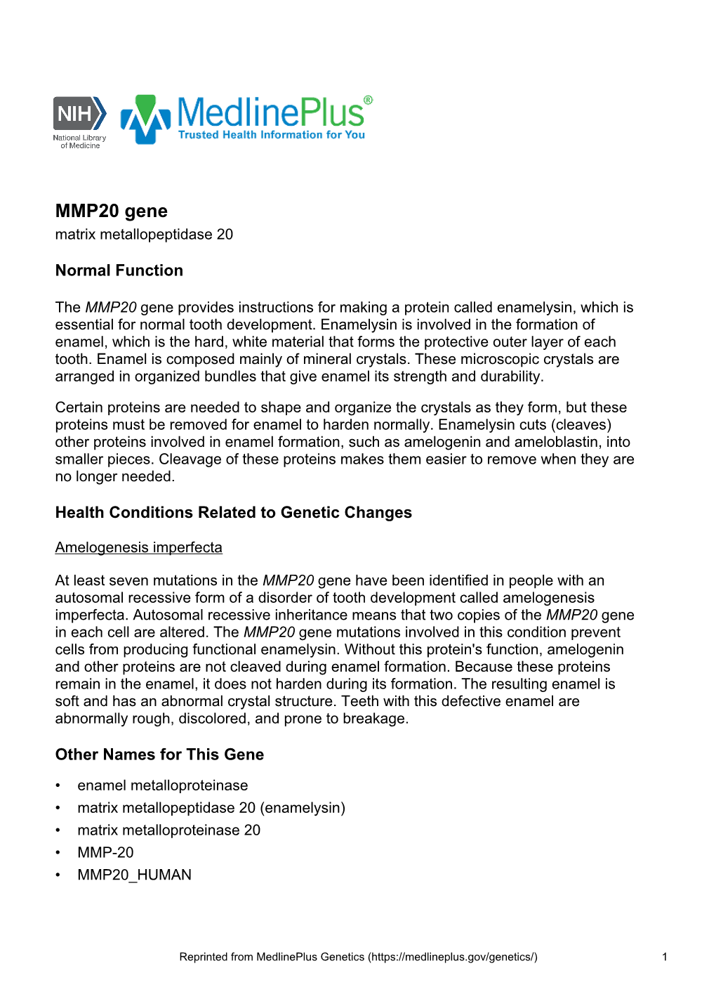 MMP20 Gene Matrix Metallopeptidase 20