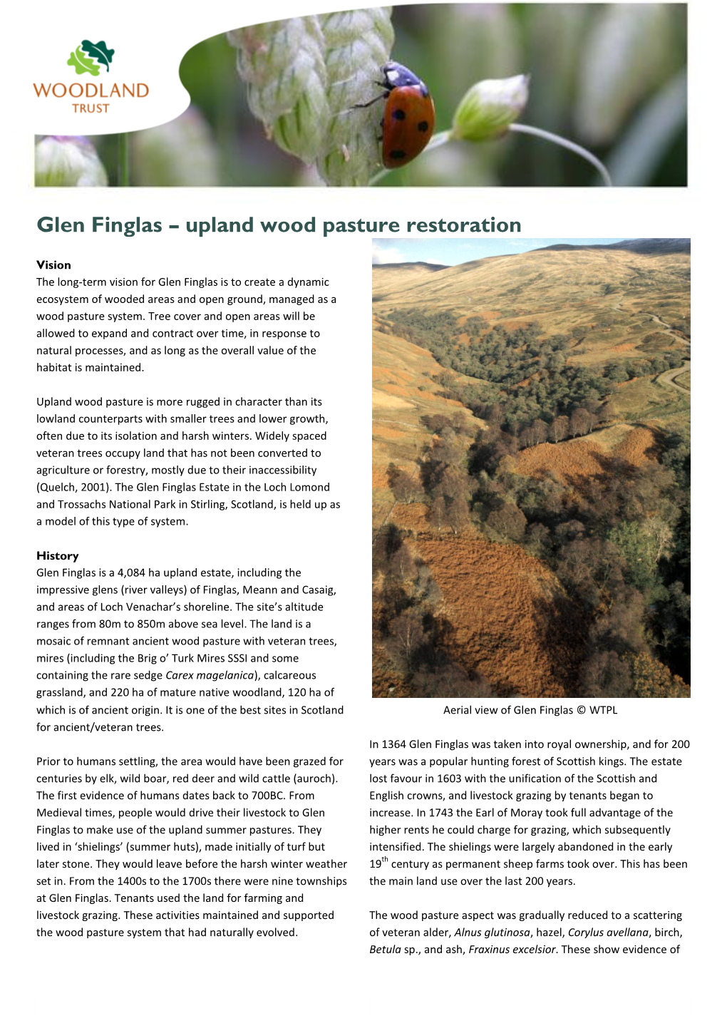 Glen Finglas – Upland Wood Pasture Restoration