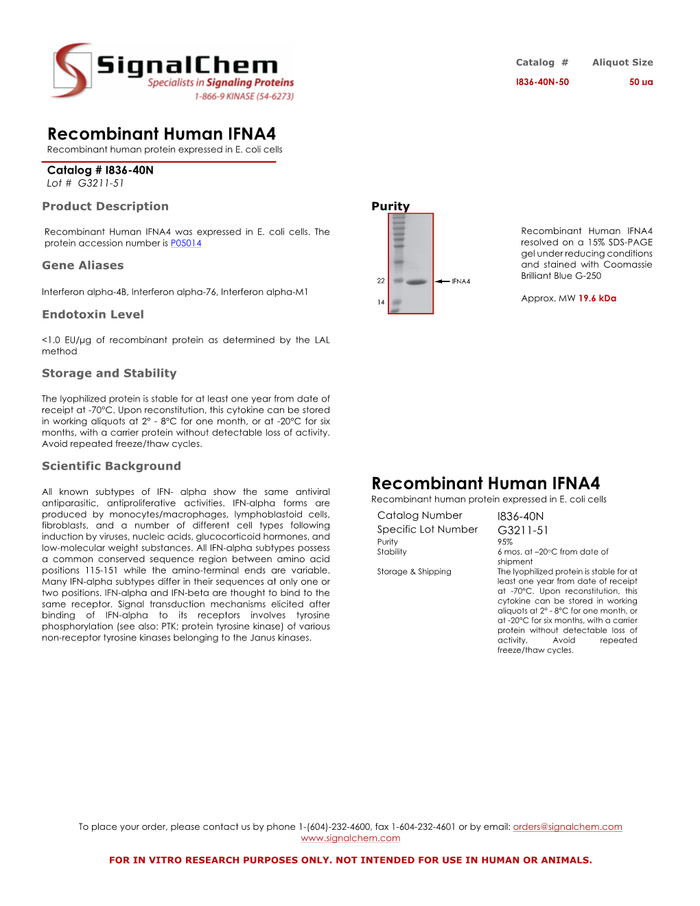 Recombinant Human IFNA4 Recombinant Human Protein Expressed in E