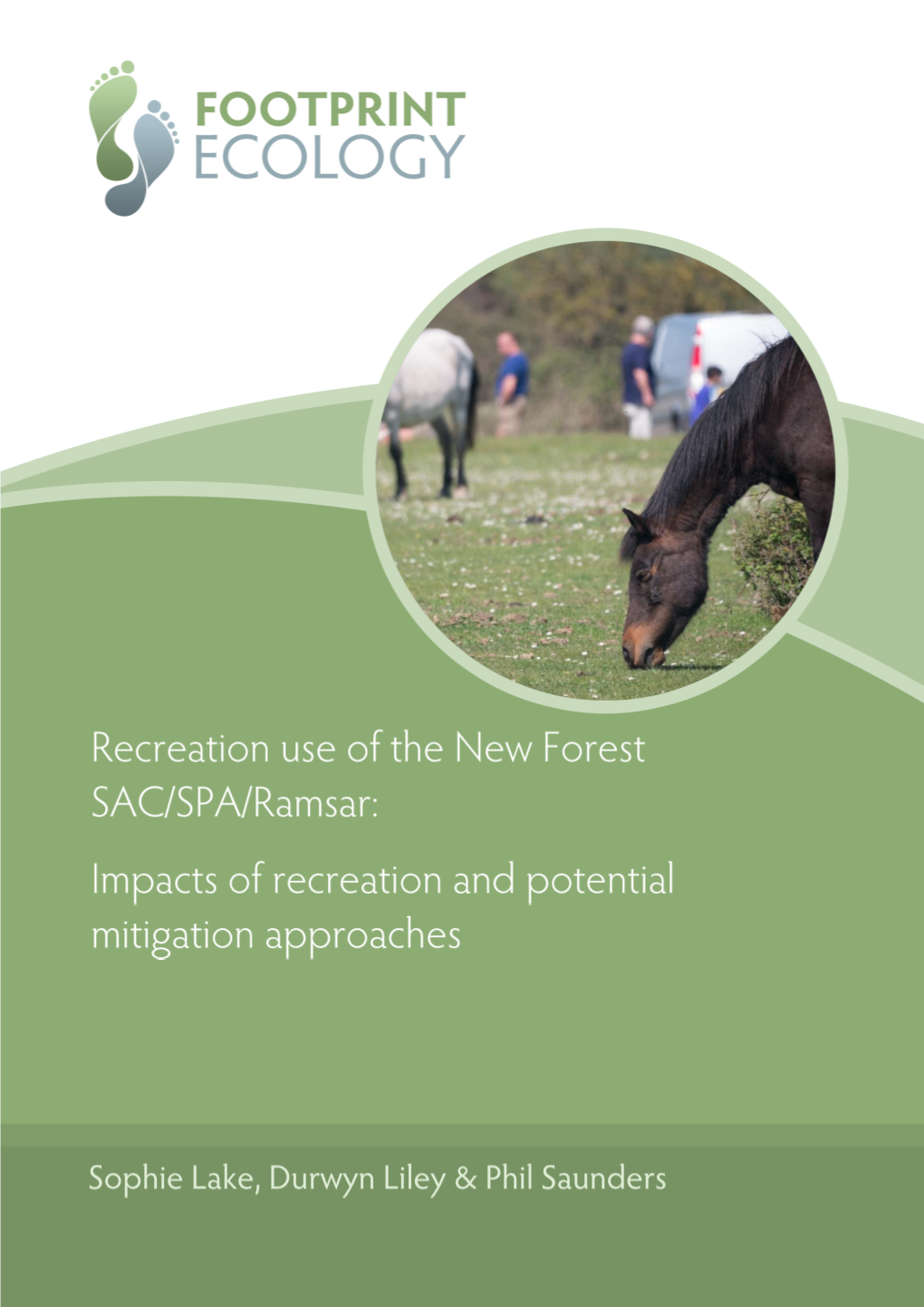 New Forest Recreation Impact Mitigation Report