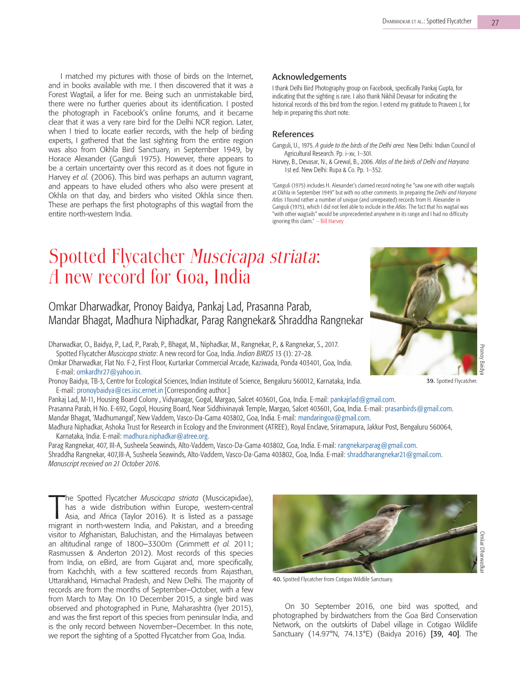 Spotted Flycatcher Muscicapa Striata: a New Record for Goa, India