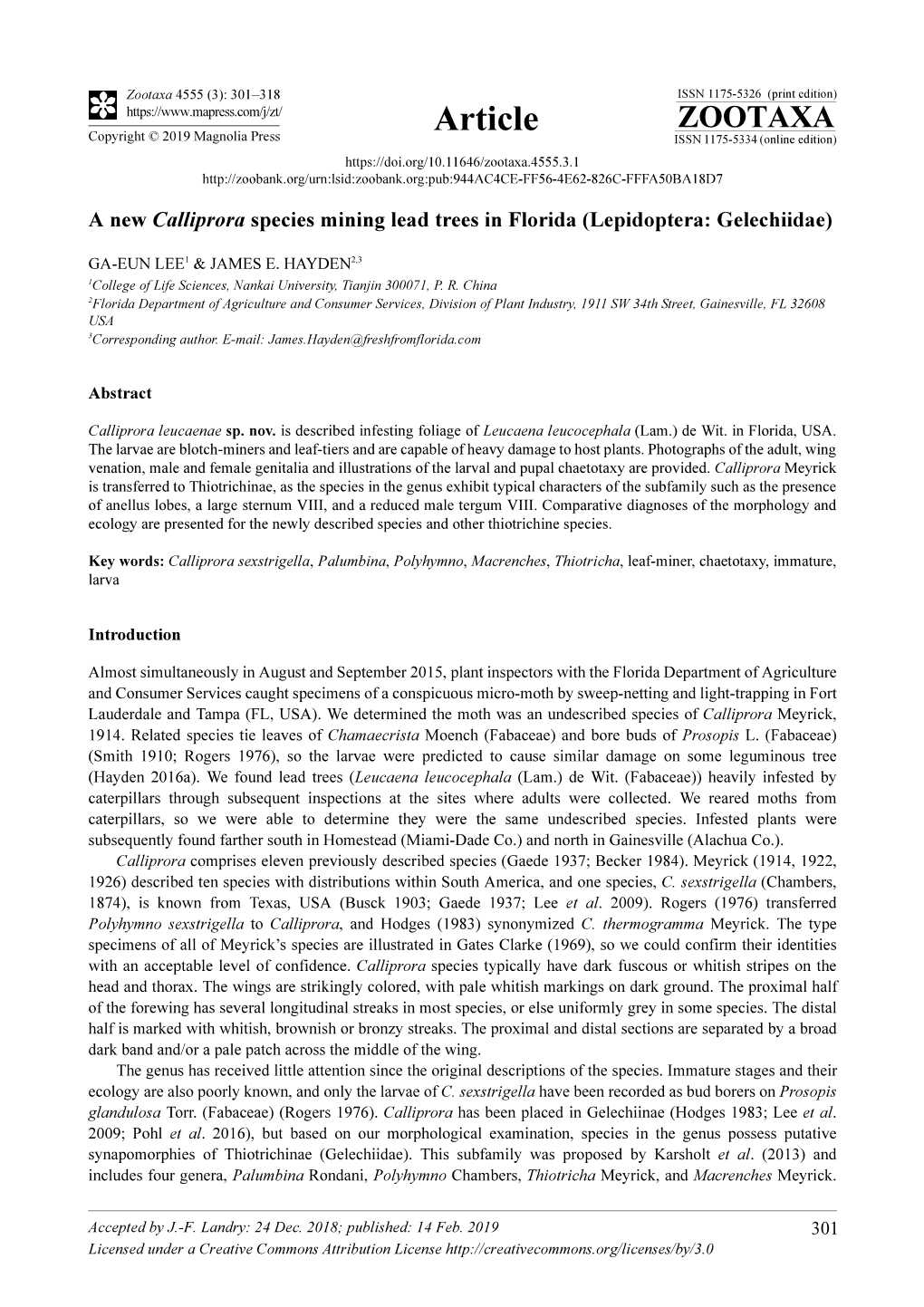 A New Calliprora Species Mining Lead Trees in Florida (Lepidoptera: Gelechiidae)