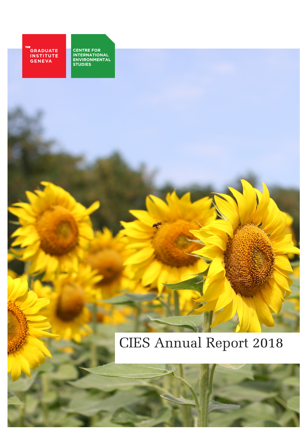 CIES Annual Report 2018