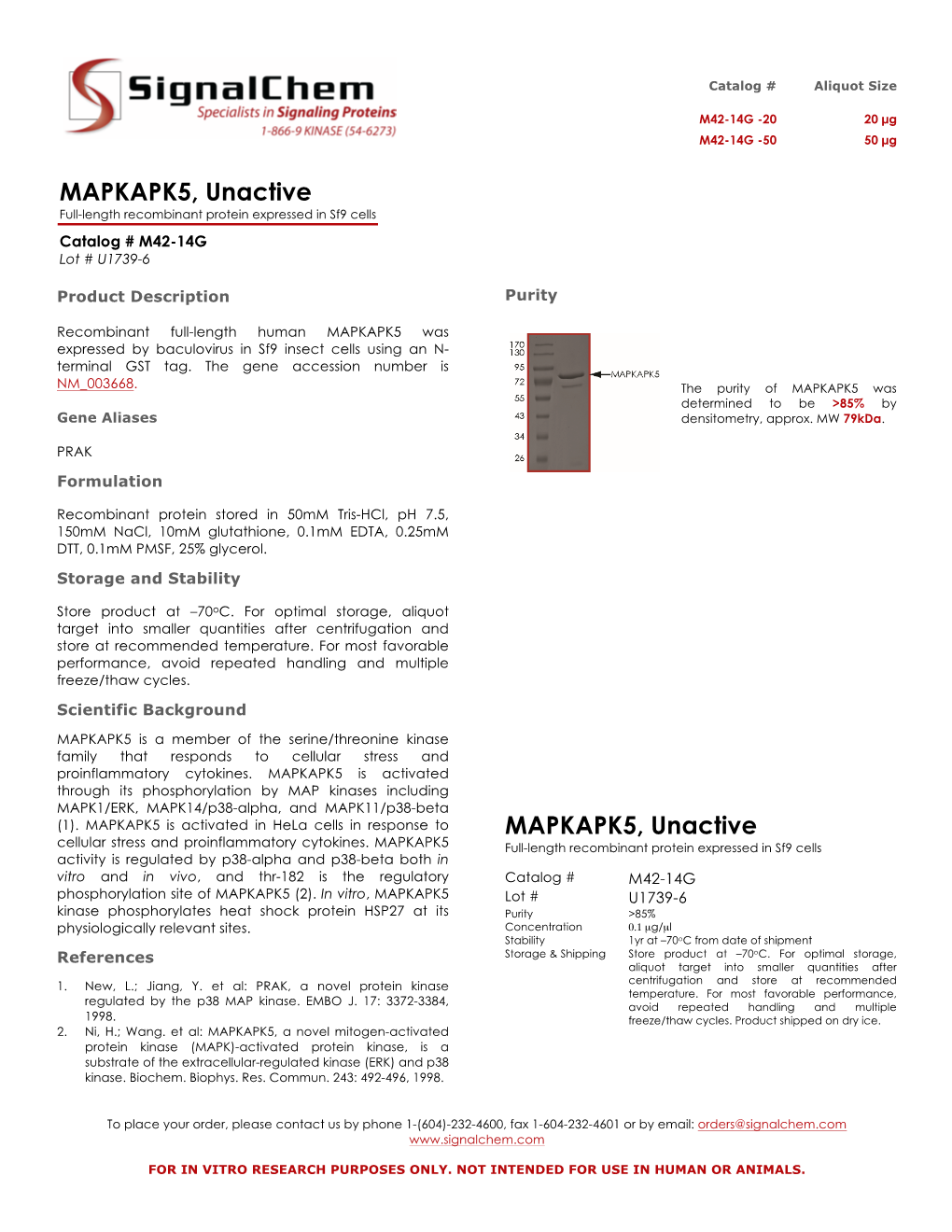 MAPKAPK5, Unactive Full-Length Recombinant Protein Expressed in Sf9 Cells