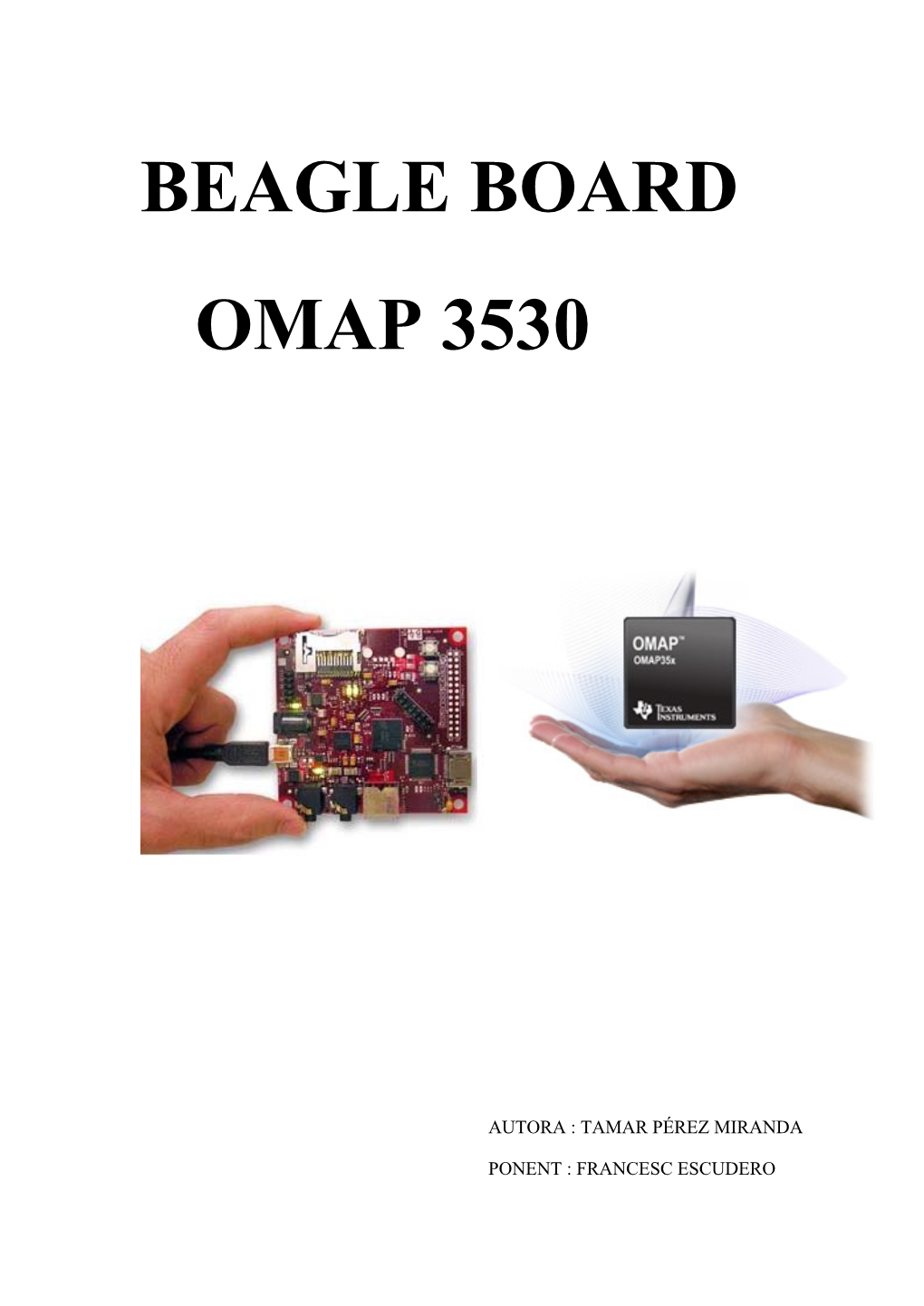 Beagle Board Omap 3530
