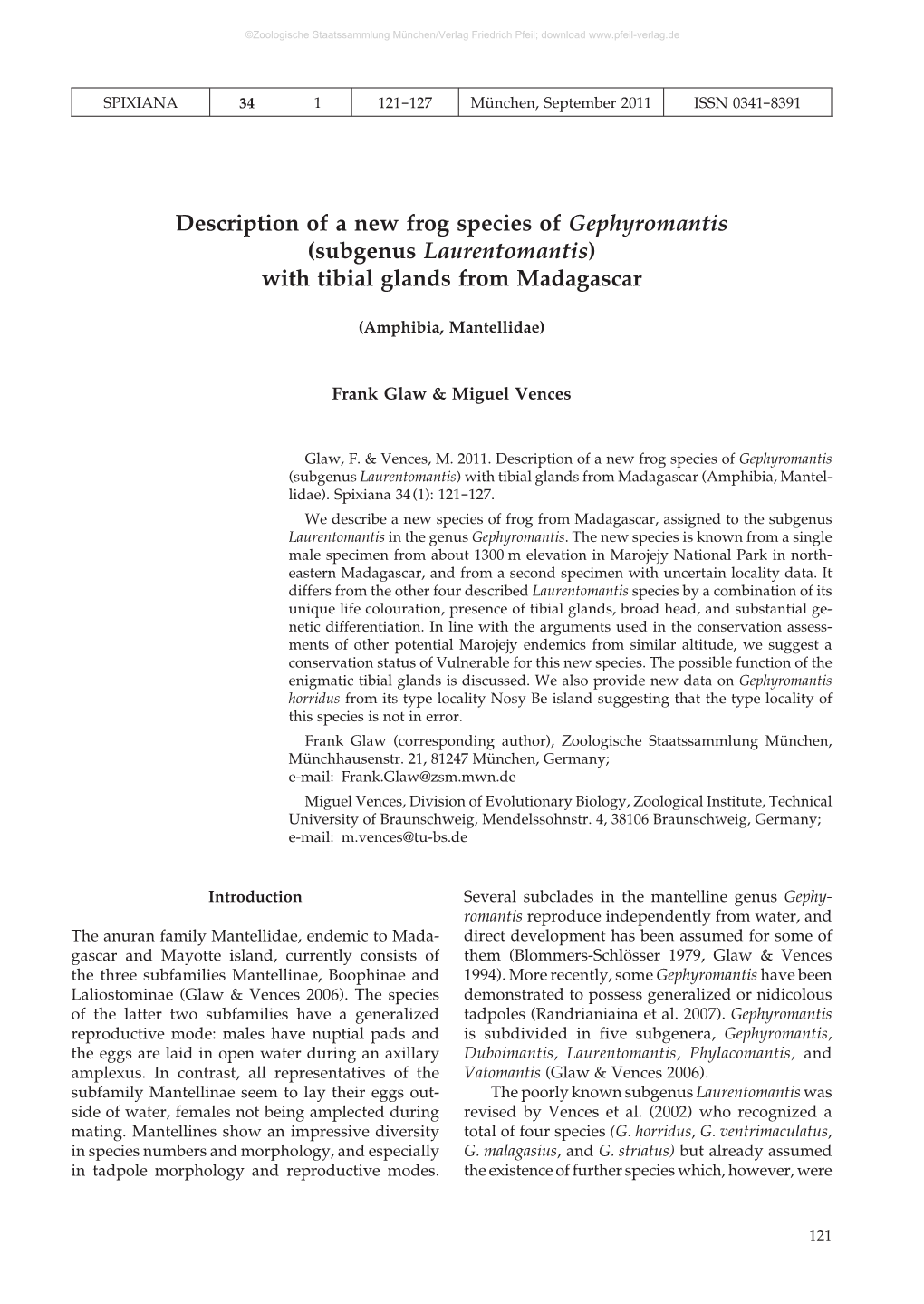 Description of a New Frog Species of Gephyromantis (Subgenus Laurentomantis) with Tibial Glands from Madagascar