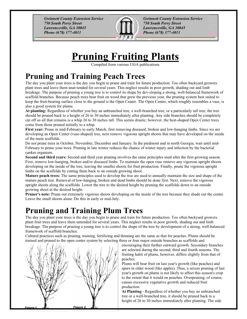 Pruning Fruit Trees