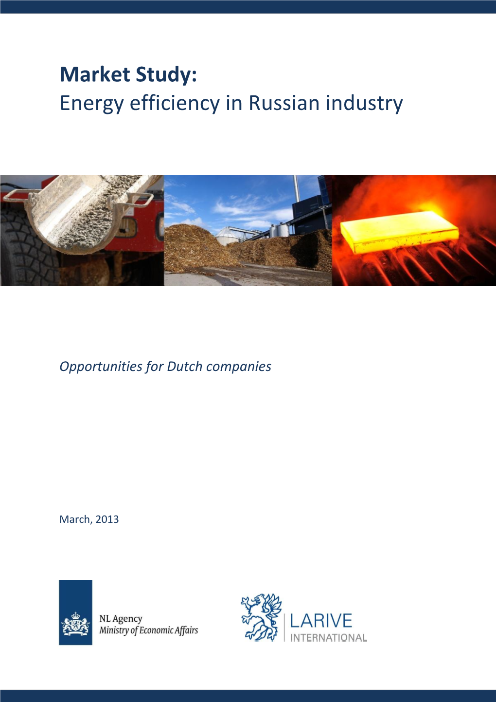 Energy Efficiency in Russian Industry