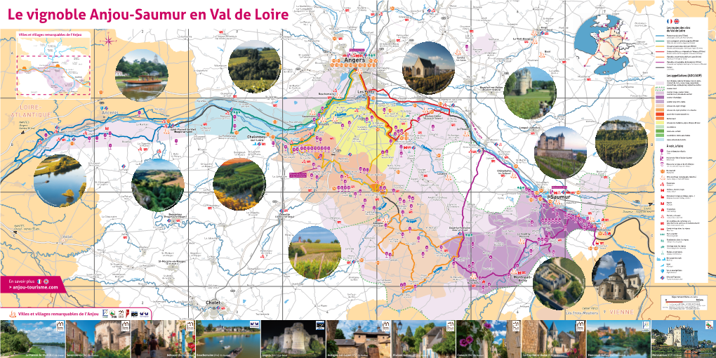 Le Vignoble Anjou-Saumur En Val De Loire