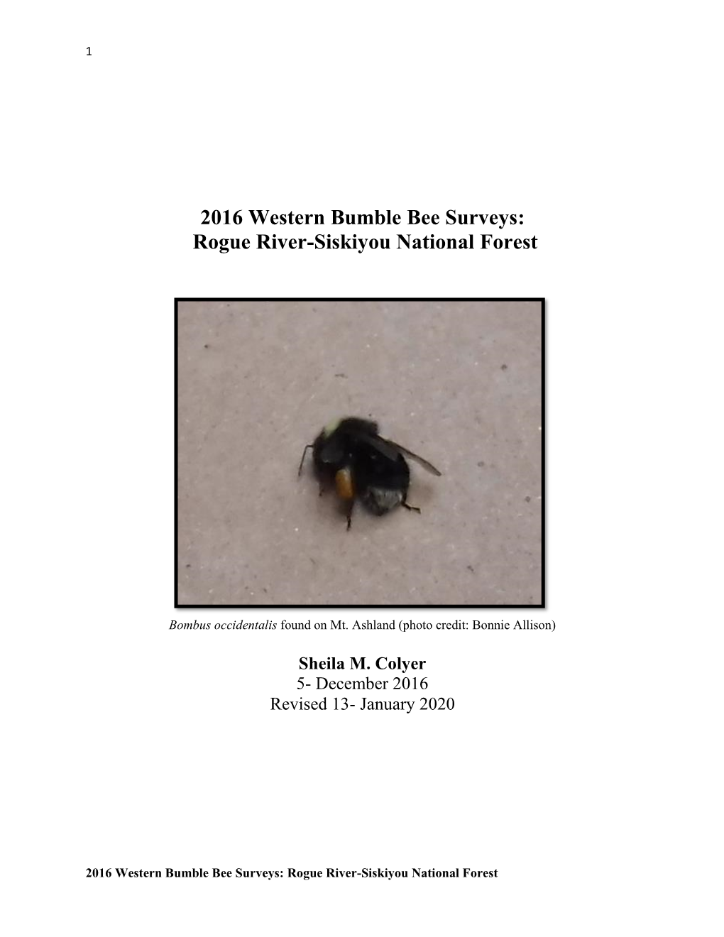 Western Bumble Bee Surveys, Rogue River-Siskiyou NF