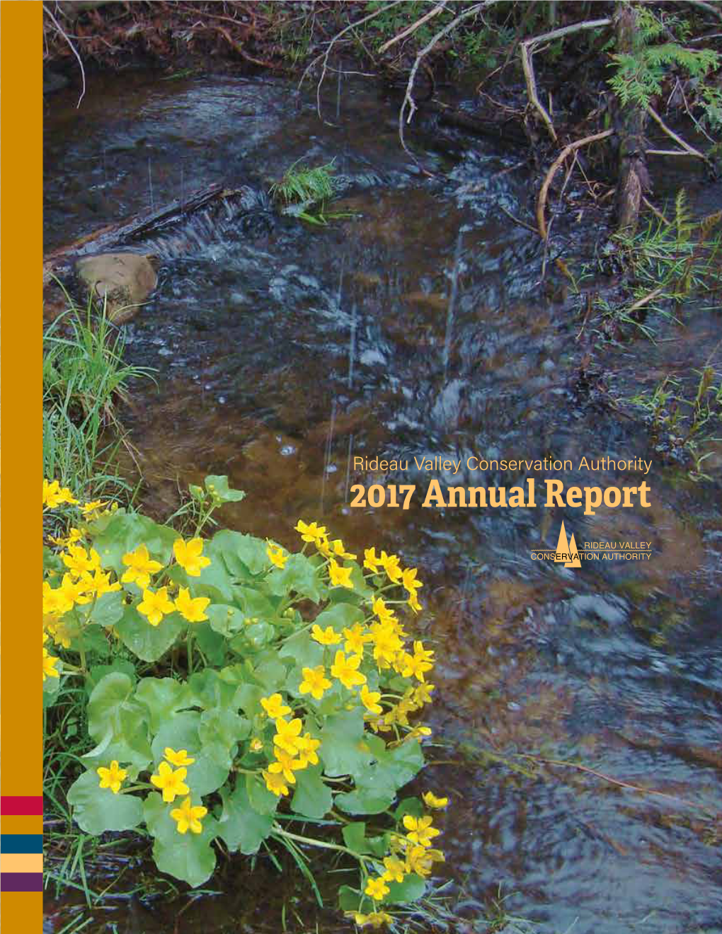 RVCA 2017 Annual Report