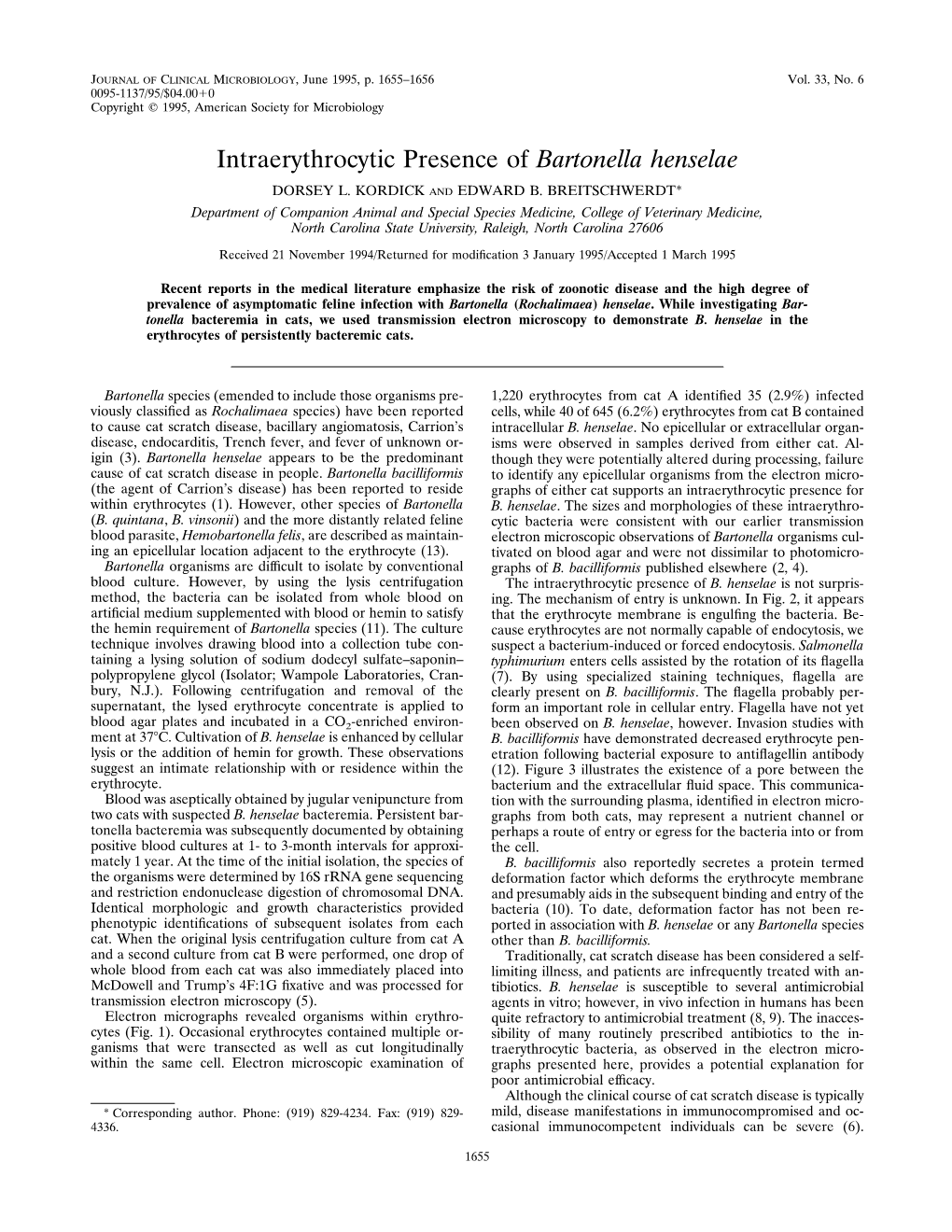 Intraerythrocytic Presence of Bartonella Henselae