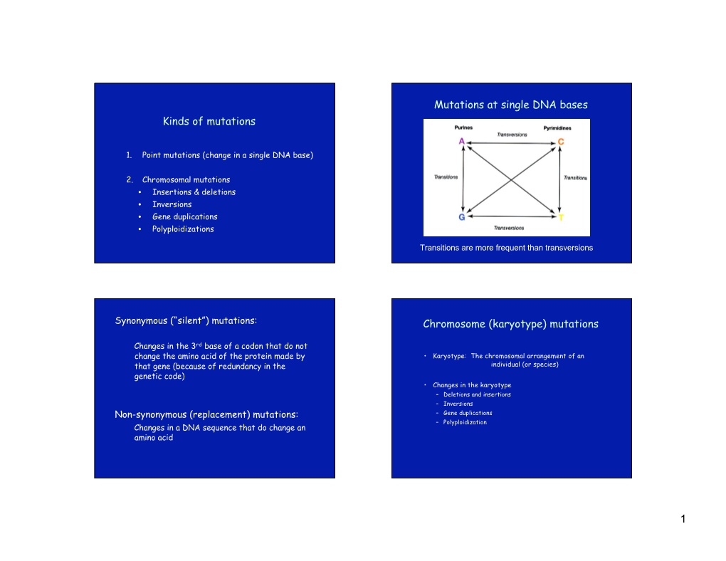 Kinds of Mutations Mutations at Single DNA Bases Chromosome (Karyotype) Mutations
