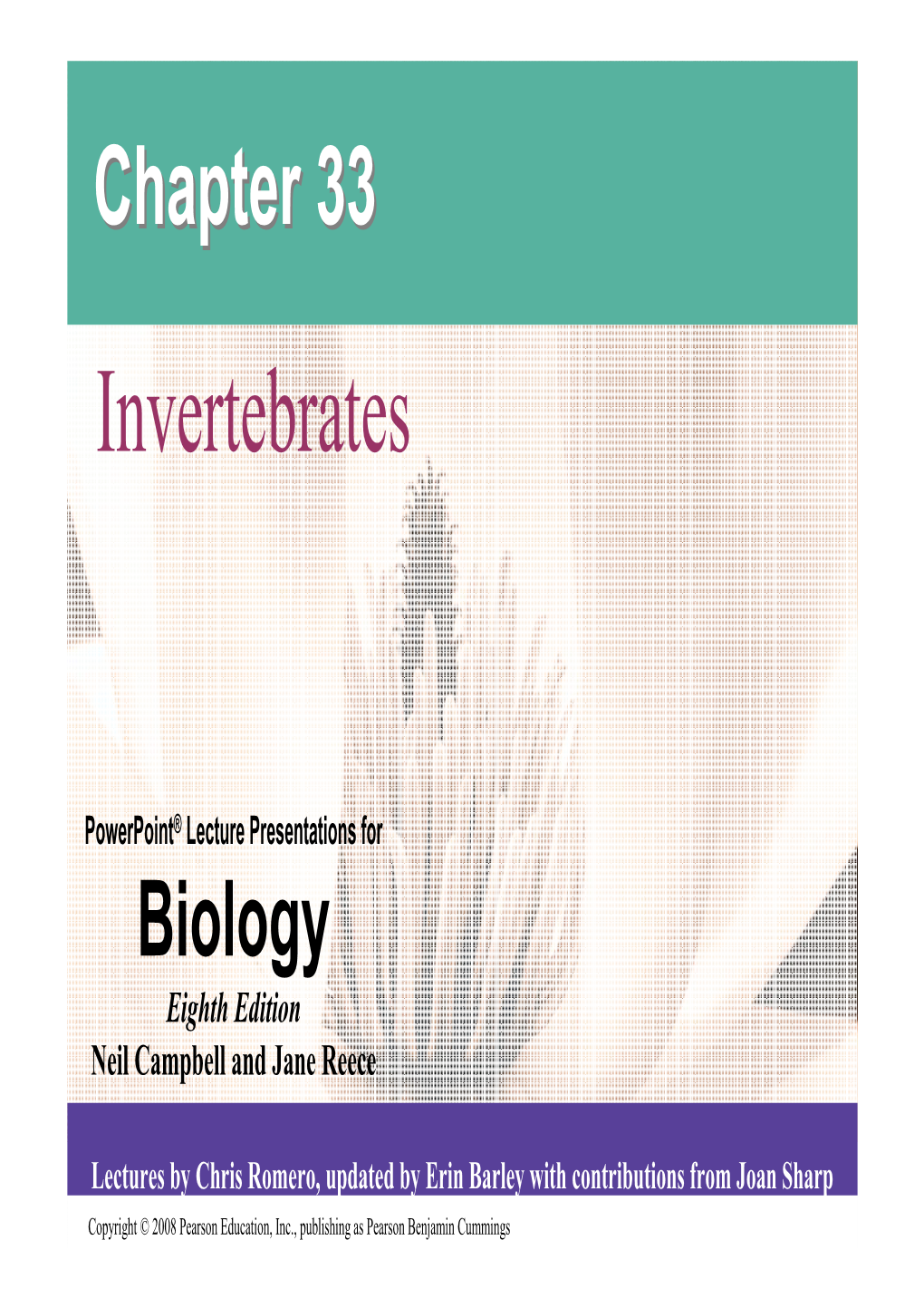 Invertebrates