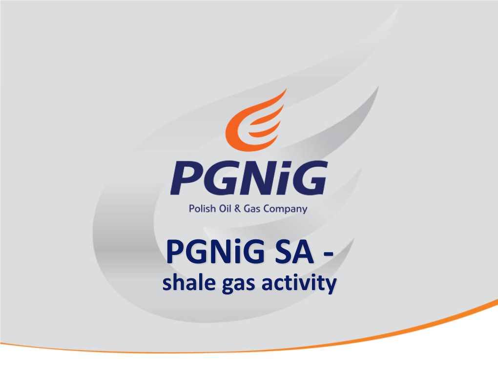 Pgnig SA - Shale Gas Activity | Pgnig Production Activity