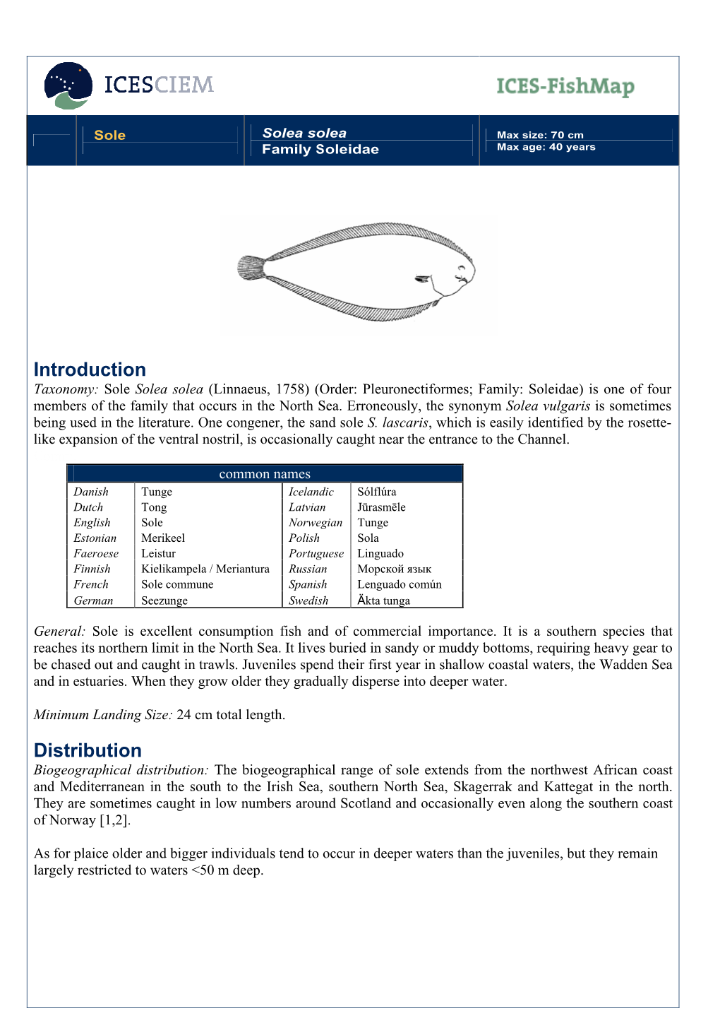 ICES Fishmap Species Factsheet-Sole