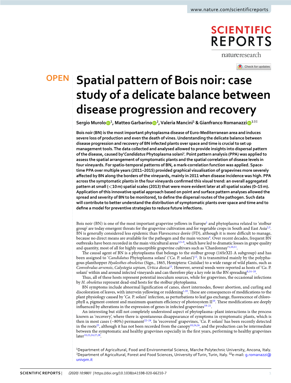 Spatial Pattern of Bois Noir: Case Study of a Delicate Balance Between