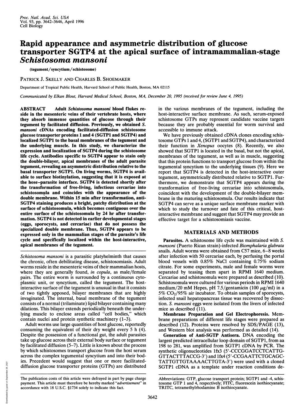 Transporter SGTP4 at the Apical Surface of Intramammalian-Stage Schistosoma Mansoni (Tegument/Syncytium/Schistosome) PATRICK J