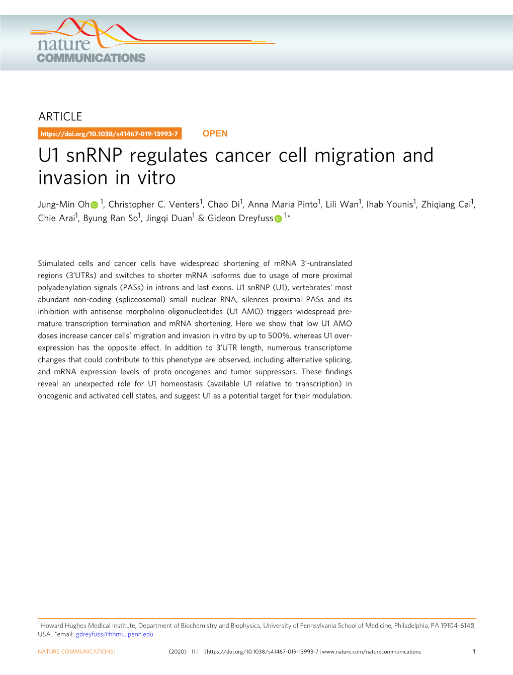 U1 Snrnp Regulates Cancer Cell Migration and Invasion in Vitro
