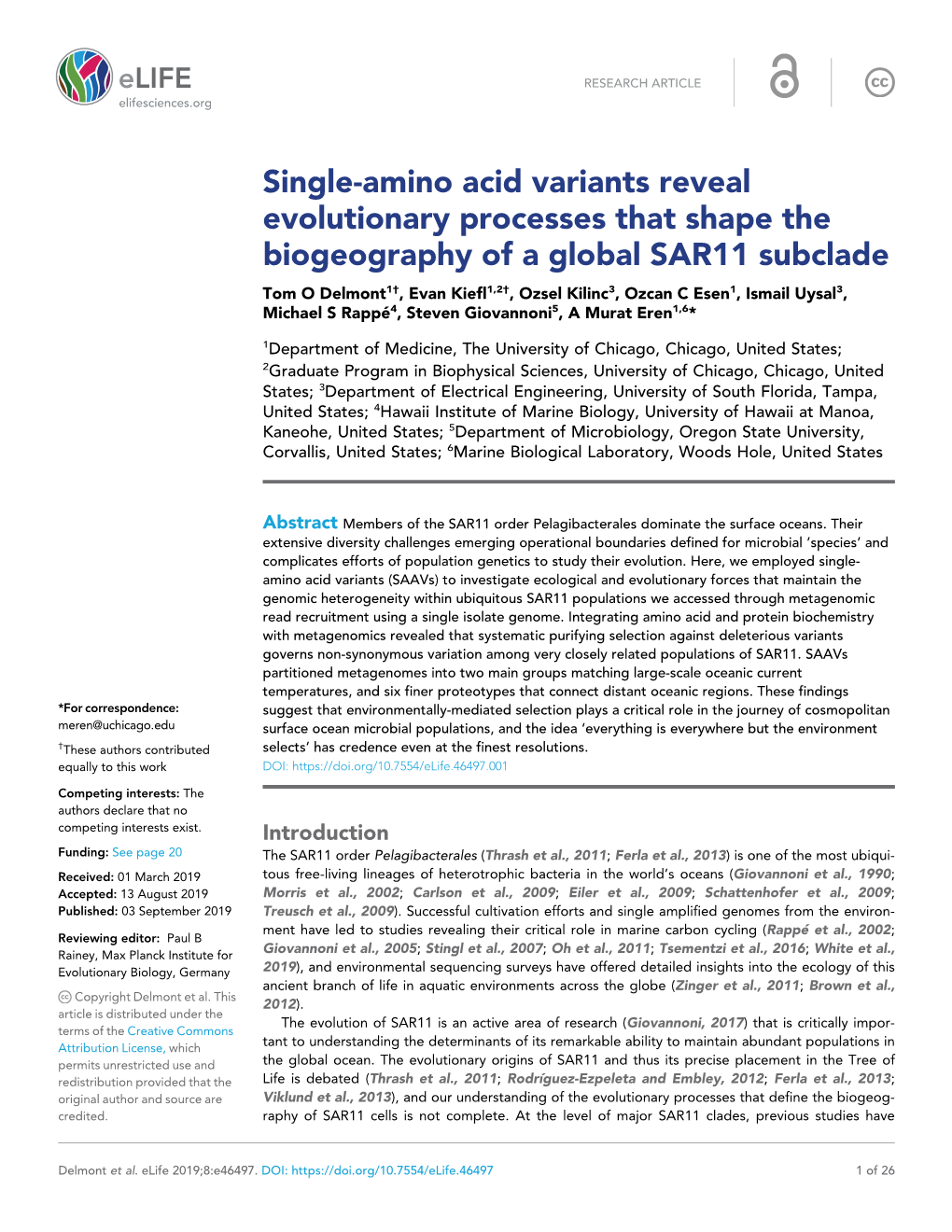 Single-Amino Acid Variants Reveal Evolutionary Processes That Shape